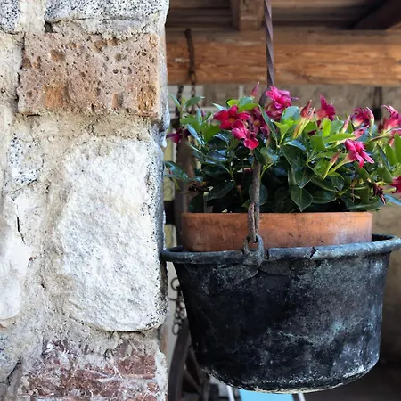 Appartamento Casa Rita 4 - Di Garda